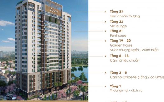 The Ascent Lakeside Quận 7