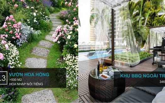 Sunshine Diamond River