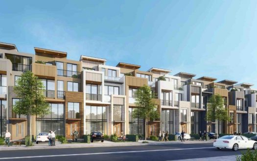 The 9 Stellars Quận 9