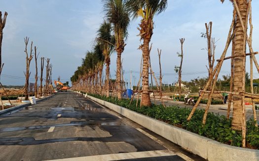 Venezia Beach Hàm Tân