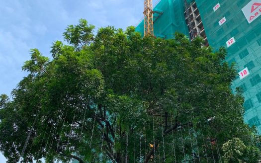 Căn Hộ Privia Khang Điền Bình Tân