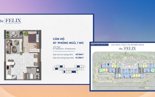 Căn Hộ The Felix – C Holdings