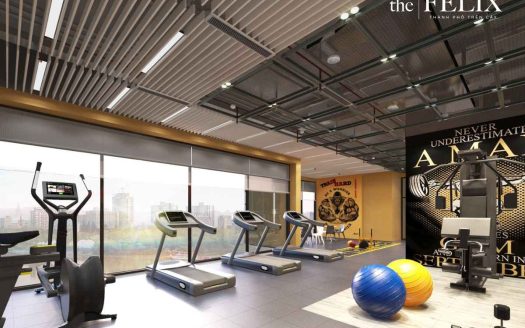 Căn Hộ The Felix – C Holdings