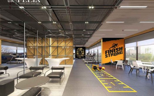 Căn Hộ The Felix – C Holdings